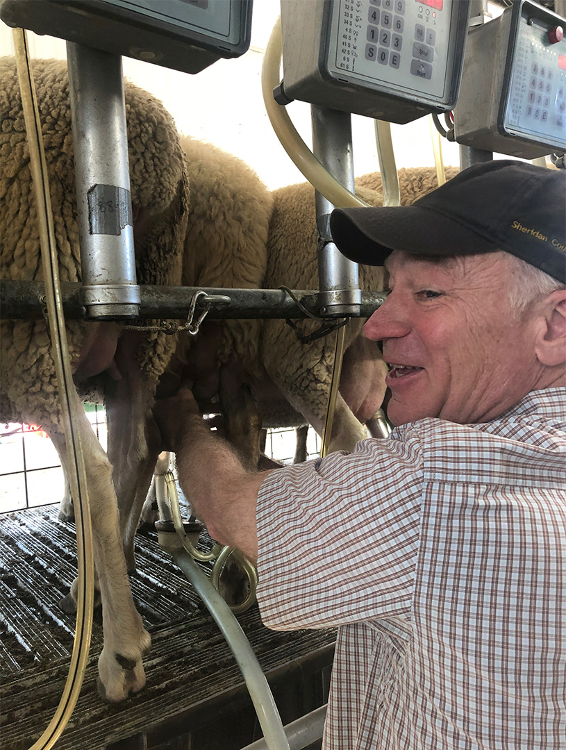 Dave Kinskey milking a cow