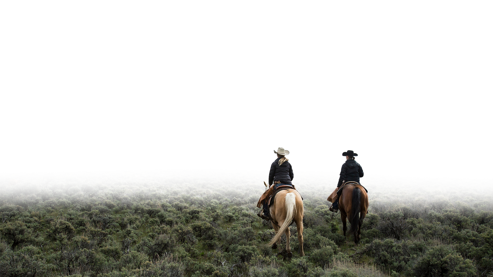 Two cowboys on horses riding on a plot of land